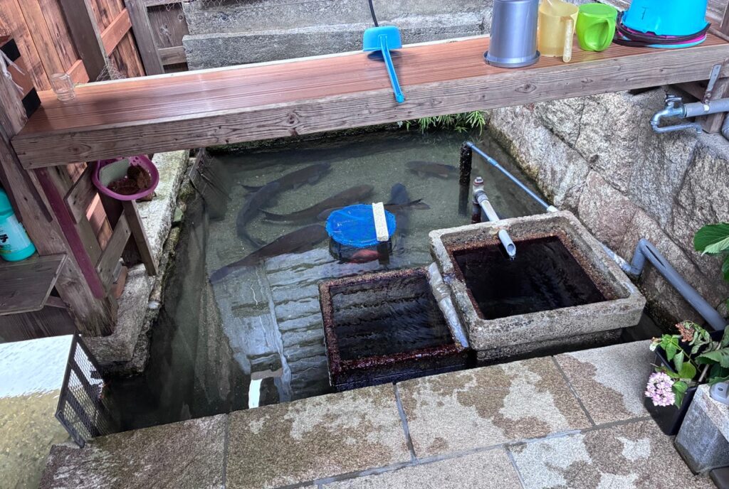 川端に入って湧き水を飲んだ。