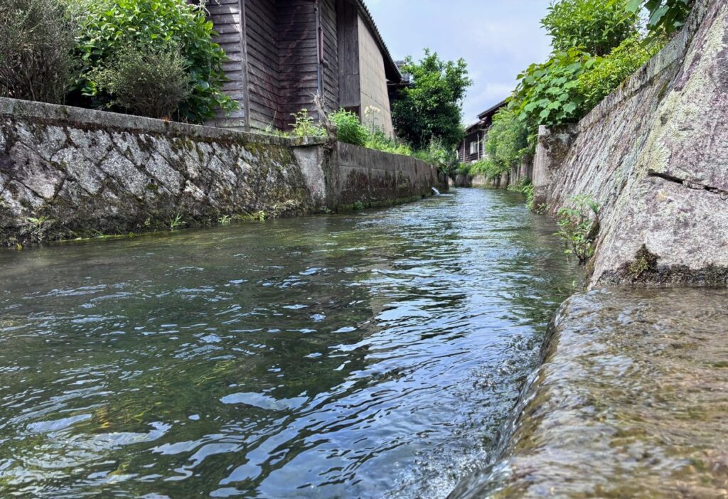 生水の郷の水路