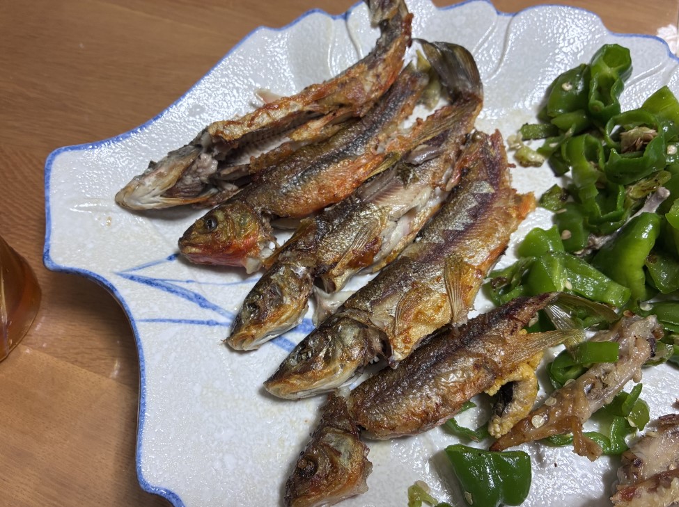 魚を主菜に家庭菜園のししとうも添える