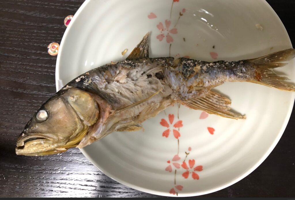 ハスの塩焼き