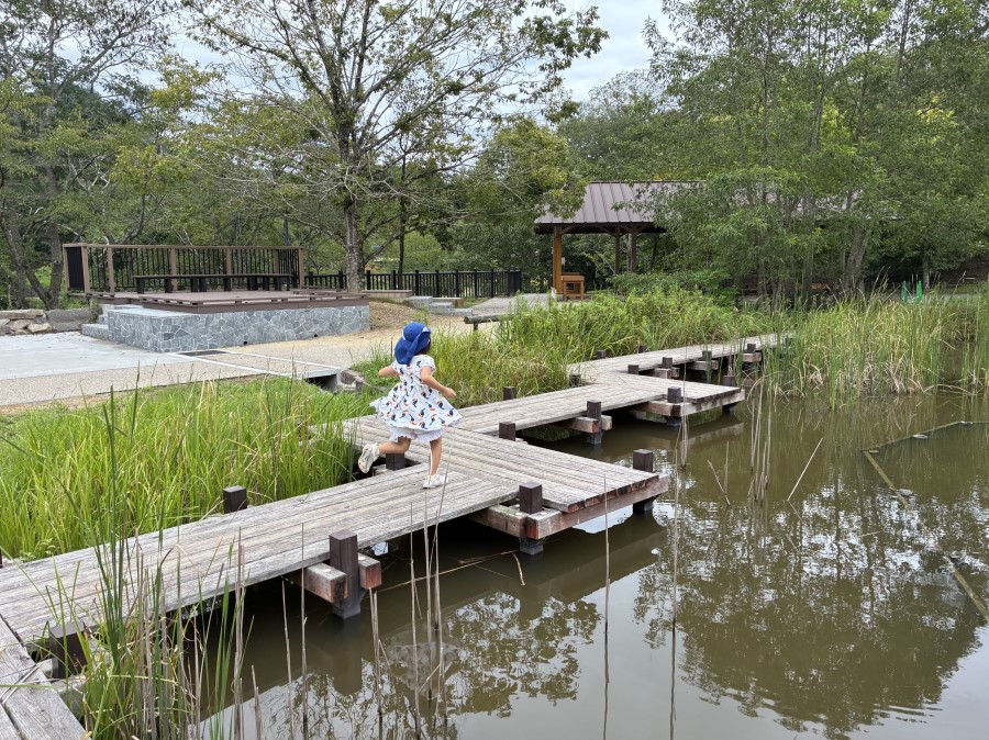 水辺のビオトープ