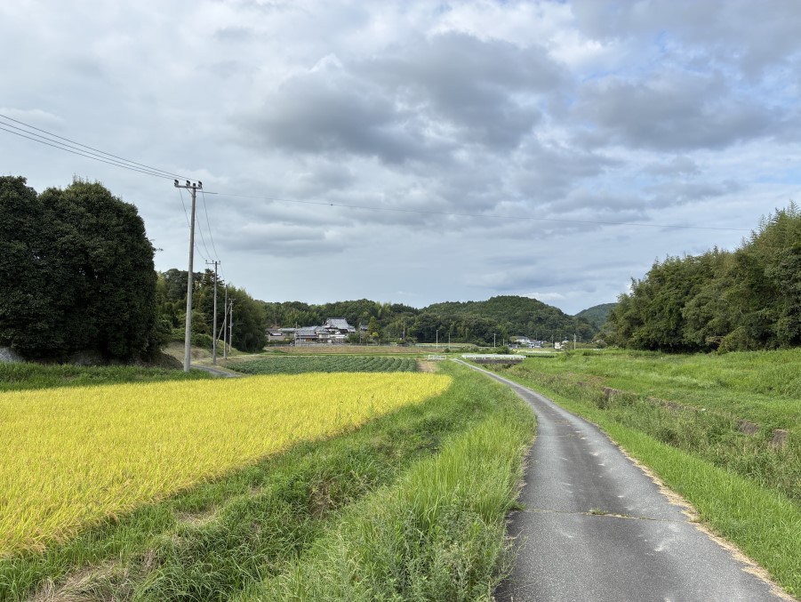 秋の気配が漂う散歩道