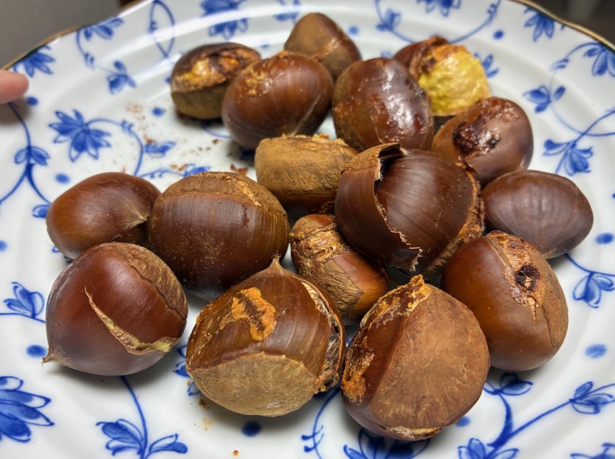 持ち帰った栗を早速焼いて食べてみる
