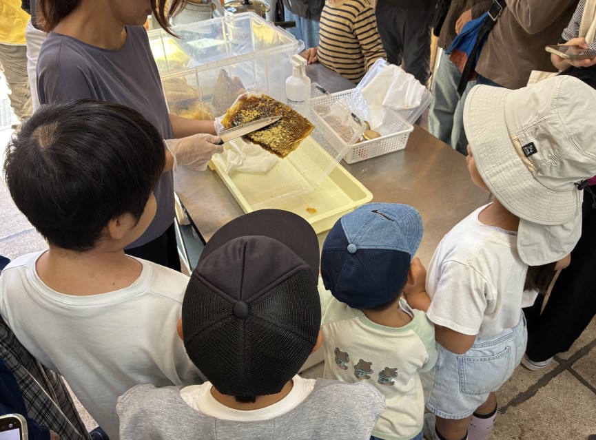 ハチミツ採取の前にスタッフさんが巣を下処理する。