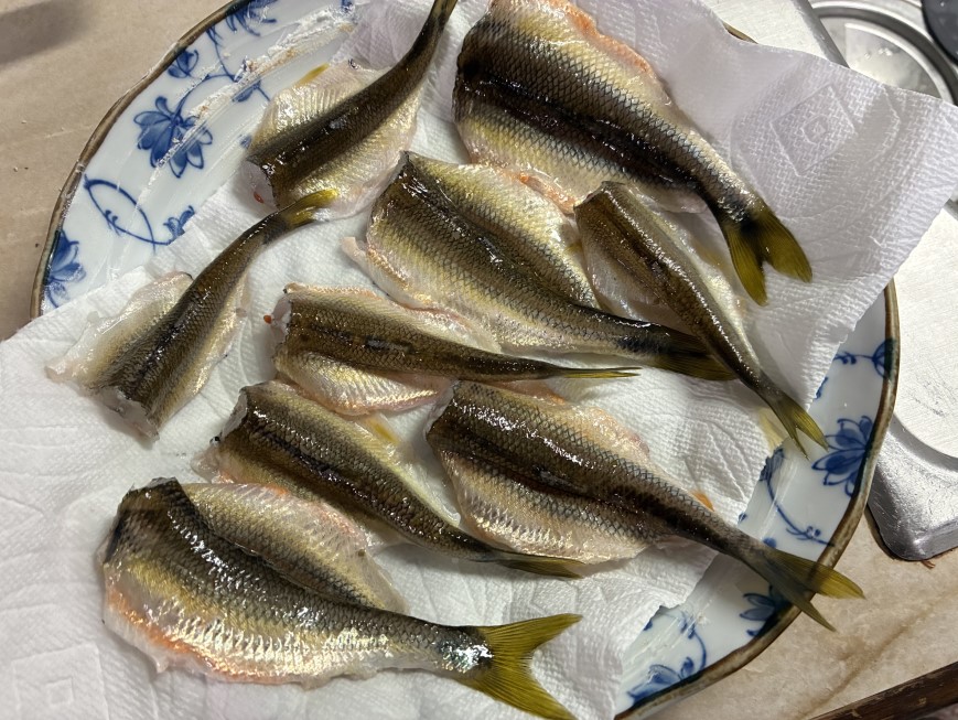魚屋さんでよく見る背開きっぽくしてみました
